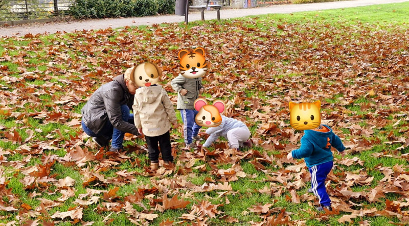 Der Herbst ist da